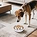Pssopp Slow Down Eating Dog Bowl, Wide Aperture Comfortable Eating Anti Fall Stainless Steel Anti Choking Slow Feeder Dog Bowl for Fast Eaters (Bone Pattern)