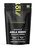 Organic Amla Berry 1400mg - 90 Vegan Capsules - High Strength Phyllanthus Emblica Supplement - 45 Day Supply - Resealable and Recyclable Pouch by Alpha01
