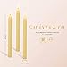 100% Pure Beeswax Handmade Taper Candles (Coconut Cream) - 8 Inch Smokeless Dripless Pair - Natural Subtle Honey Smell - Elegant Honeycomb Design — by Galánta & Co.