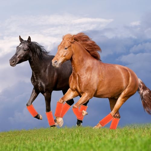 Tangtty MT-01 Fly Boots For Horses. Horse Fly Boots Set Of 4. Adjustable Horse Fly Boots Stops Stomping Fly Leg Wraps thumb #5