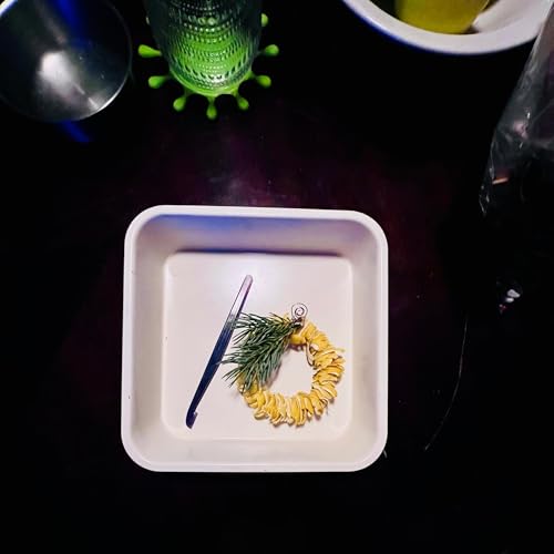 Day 216: Shining Our Grow Lights