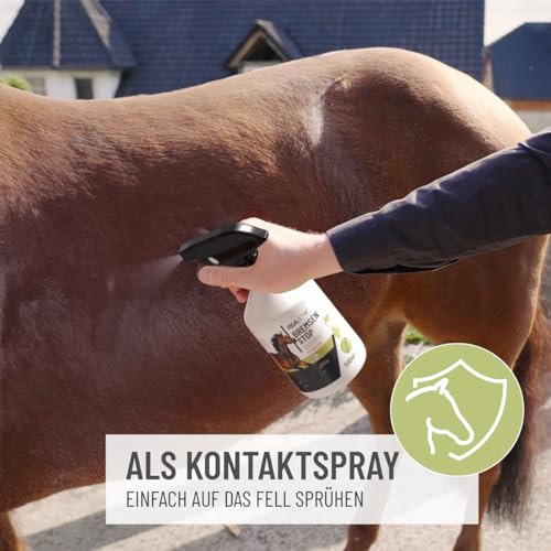 TESTURTEIL SEHR GUT ReaVET Bremsen Stop **TESTSIEGER** Fliegenspray Pferde 500ml mit pflegender AloeVera, Insektenspray mit Sofortschutz & Pferdepflege, Bremsenspray Bremsenblocker gegen Fliegen
