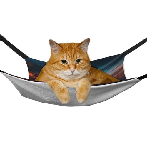 Hamac pour chaton doux pour créer un cocon de tendresse suspendu