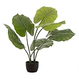 Paris Prix Plante Artificielle Taro Sauvage 78cm Vert
