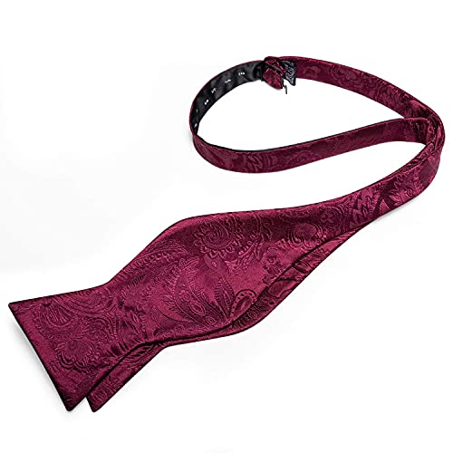 Image of DiBanGu Paisley Bow Ties for Men Silk Self Tied Bowtie and Pocket Square Cufflinks with Lapel Pin for Wedding Party