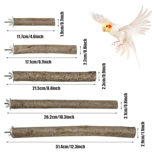 Image of Woohome 5 PCS Perch Bird Stand Toy Natural Wood Platform Natural Wood Bird Perch Stand for Small Birds Cockatiels Lovebirds Budgie Parrot