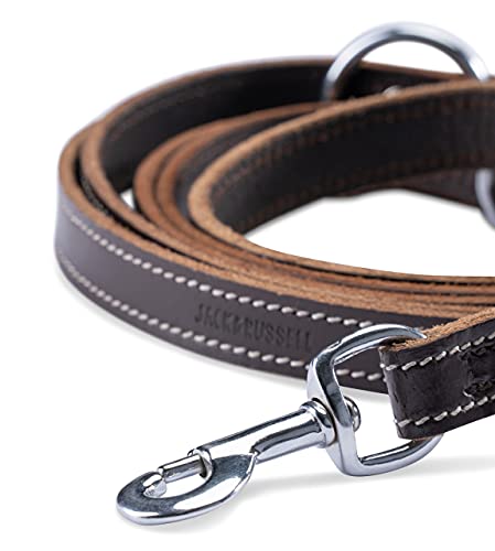 Hundeleine aus Leder - mehrfach verstellbare Führleine 2,40m - Hunde Lederleine extrem Stabil mit Edelstahl-Karabiner - Echt-Leder Leine Sammy (Dunkelbraun)