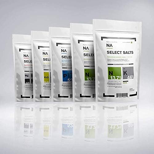 cooked oxtail bones for dogs