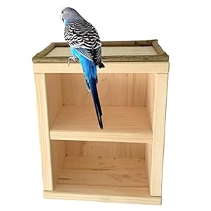 Vogelgaleria 2 Stöckiges Vogelhäuschen