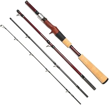 Amazon | Fishman(フィッシュマン) B.C.4 BRISTCompact 5.10MXH