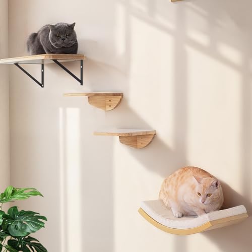 PELUOMOZ 4-Piece Climbing System