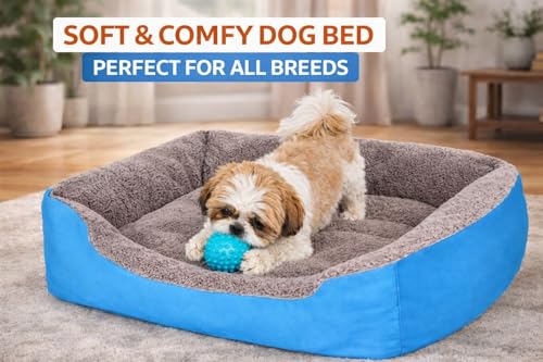 Image of SITSNOOZE Reversible Orthopedic Donut Dog Bed Large Size for Pets 10 to 20 kg Washable Cotton Sofa for Labrador, German Shepherd and Golden Retriever (Sky Blue, L)