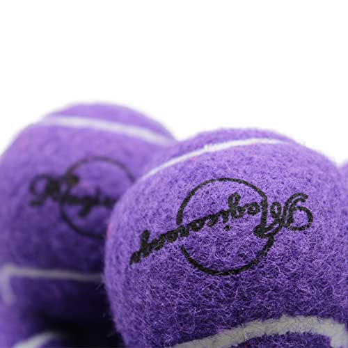 Image of Tennis Balls, Magicorange 12 Pack Advanced Training Tennis Balls Practice Balls, Pet Dog Playing Balls, Come with Mesh Bag for Easy Transport, Good for Beginner Training Ball (Purple)