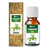 NIRGUNDI OIL 100% NATURAL PURE UNDILUTED UNCUT ESSENTIAL OIL 30ml by SALVIA