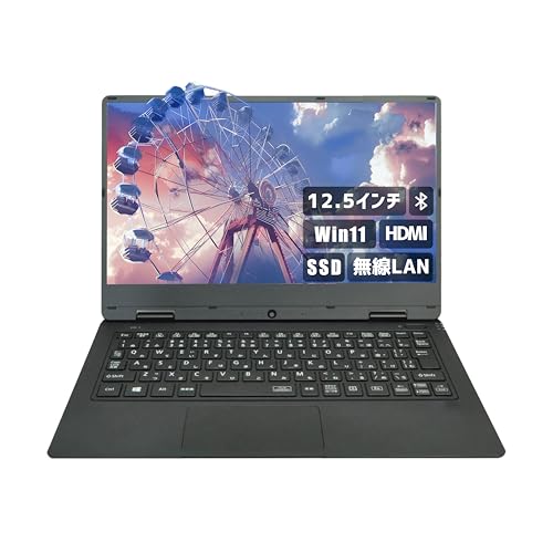 yςݕizi12.5C` Officeځj Aurora&Stars NECm[gPC win11 VKT12H-1 i5  J SSD FHD sOffice 2019/LAN/Bluetooth/Jo[pUSB64GB