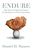 Endure: The Power of Spiritual Assets for Resilience to Trauma & Stress