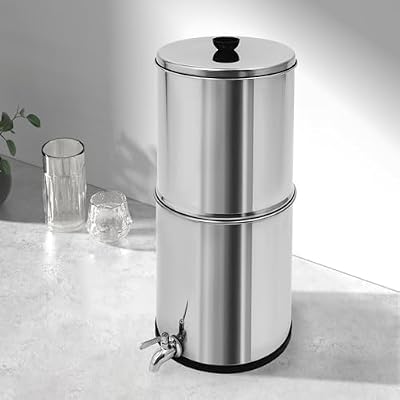 8.5L (2.25 Gal) Stainless Steel Gravity Water Filter System - Countertop Purification with 2 Filters, No Plumbing or Power Required for Home & Outdoor