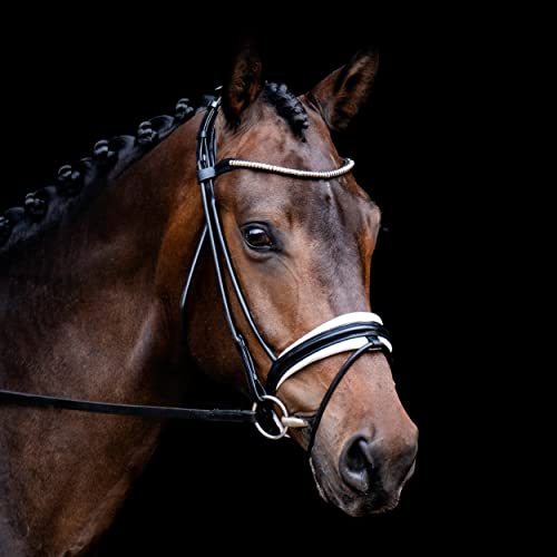 Lumiere Equestrian 'Mercie' Rolled White Padded Bridle Black Full #TOP1