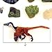 Beasts of The Mesozoic: Accessory Pack: Wetlands Environment with Buitreraptor G. - 1/6th Scale Dinosaur Action Figure Set, Collectible, Hand-Painted