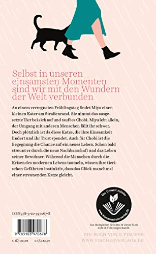 Das Geschenk eines Regentages: Roman