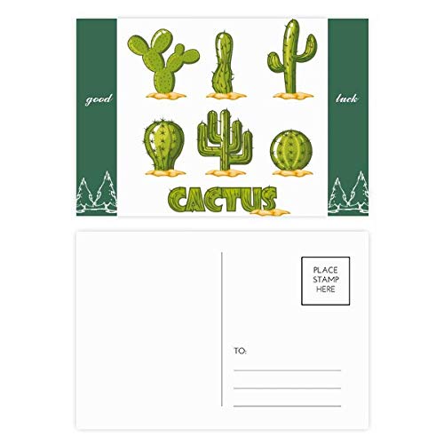 Cartes postales cactus pour ne plus manquer d'idées d'écriture lot de 20 cartes robustes