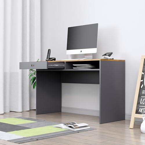 Image of Bniture Wooden Study Table for Home | Engineered Wood Study Table with Storage Shelf & Drawer | Multi Purpose Computer Desk for Writing & Study | Laptop Table for Study Room | Slate Grey & Giant Wood