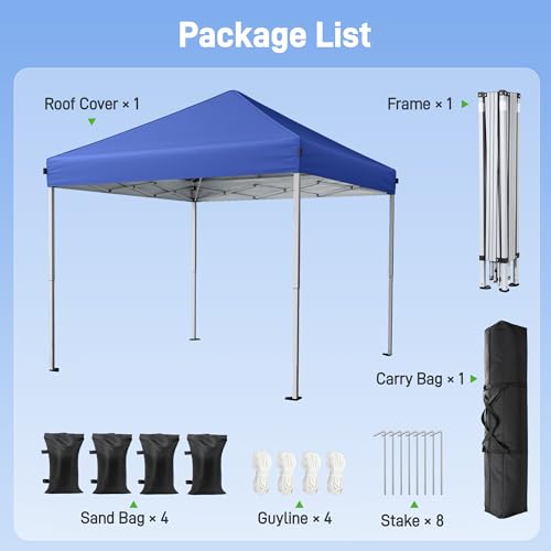 Vinabilia 10x10 Portable Pop Up Canopy