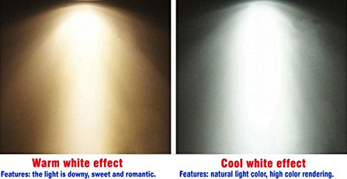 ELEDISON (2-Pack) G4 LED Bulb Globe, 12V 24V DC, 8.2 Watt, G4 Bi-pin Base, Crystal Chandelier Cabinet Lighting (Warm White 3000K)