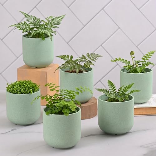 Image of Eha Earth-Friendly Terrapod Planters for Home Decor | 3.5 Inch, Pack of 6 | Small Plant Pot Made with Rice Husk Biocomposite | Flower Pot for Living Room | Celeste