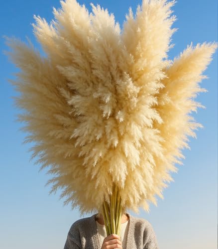 image for ANPROOR 10 PCS 40