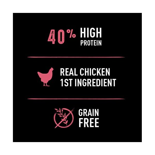 CRAVE Grain Free Indoor Adult High Protein Natural Dry Cat Food with Protein from Chicken
