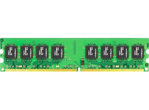 Amazon.com: NANYA 1GB PC2-6400 800MHz 2RX8 : Everything Else