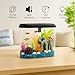 Koller Products Aquarium Fish Tank 4.5 Gallon Starter kit, Self Cleaning System Efficiency Filter 7 Color LED Lights and Timer, Plastic Small Fish Tank for Betta Guppies Neon Snail Ornamental Shrimp