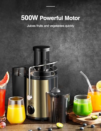 QCen Juicer Machine, 500W Centrifugal Juicer Extractor with Wide Mouth 3” Feed Chute for Fruit Vegetable, Easy to Clean, Stainless Steel, BPA-free (Gold)