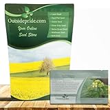 Outsidepride Black Mustard Seeds - 5000 Pcs Nutrient-Rich, Flavorful Annual Microgreen Seeds for Planting, Easy-to-Grow, Ideal for Indoor & Outdoor Cultivation, Soil & Hydroponic Systems