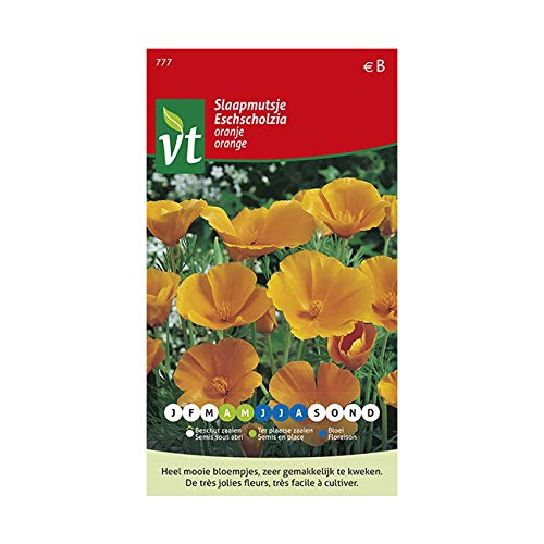 Eschscholtzia Orange Seeds - Pretty Poppy Shaped Flowers