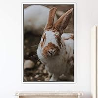 Framed Canvas Wall Art Bunny Animals Bedroom Expressive Multicolor Photography Rabbit Rustic - 16x24 inches