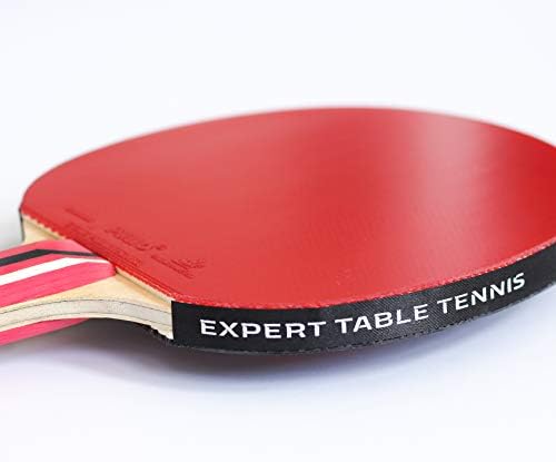 Palio Master 3.0 Table Tennis Bat & Case - ITTF Approved, Intermediate Ping Pong Racket