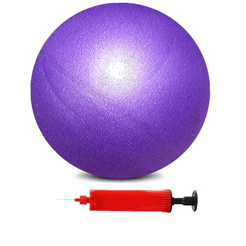 BAIMAN Mini Pilates Exercise Yoga Ball 6 Inch Small Inflatable Exercise Yoga Ball Core Training and Physical Therapy Equipment with Pump(Purple)