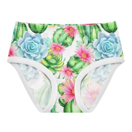 Joisal Cacti Succulents Flowers Toddler Underwear Floral 2t Cotton Panties for Girl Aesthetic Briefs Kids Undies