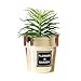 Plantes artificielles, plante artificielle en pot, jolie décoration de bureau, bonsaï artificiel nordique plaqué or pour bureau 1