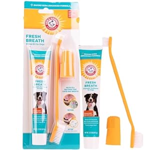 Arm & Hammer for Pets Fresh Breath Enzymatic Dog Dental Care Kit - Includes Dog Toothpaste, Dual Sided Toothbrush and Fingerbrush - Bad Breath Treatment, Chicken Flavor, 2.5 Ounce Arm Hammer for Pets Fresh Breath Enzymatic Dog Dental Care Kit Includes Dog Toothpaste Dual Sided Toothbrush and Fingerbrush Bad Breath Treatment Chicken Flavor 25 Ounce