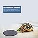 Alipis Turtle Enclosure Accessories Mat Stone Plate Reptile Basking Platform Rock Small Stones for Reptiles Terrarium Bowls Habitat Decor