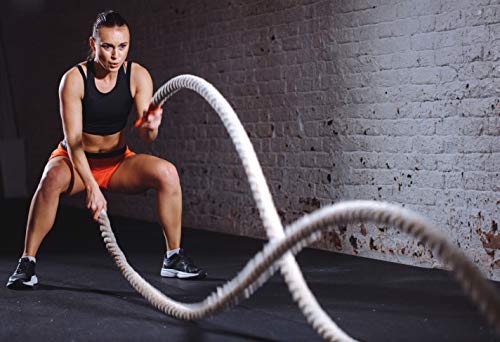 Shopertuniti Gym and Fitness Set of 3 Combo Wall Poster for Men & Women to Create a Focal Point (19×13-Inches, 300 GSM Thick Paper, Matt Lamination, Multicolour)