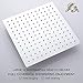 RODDEX Square Rain Shower Head, High Pressure Rainfall Showerhead, Large Fixed Stainless Steel Polished Chrome Shower Rain, 12 Inch Rainhead + 15 Inch Extension Arm