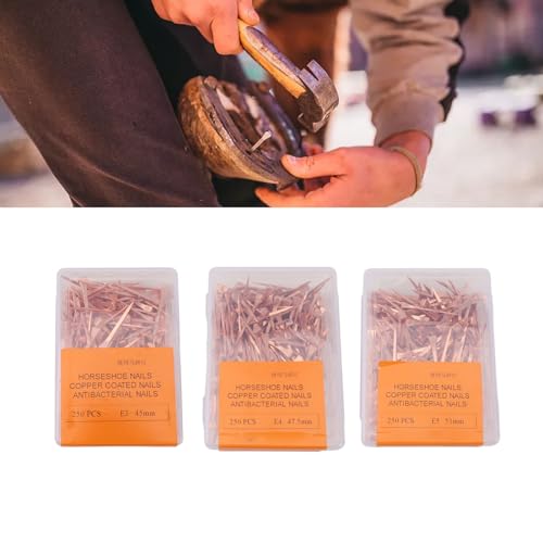 Image of BORDSTRACT 250Pcs Horseshoe Nails, Copper Plating Shoeing Nails with Plastic Box, Copper Plated Horseshoe Nails, Equestrian Riding Equipment, for Raise Livestock(45mm Copper-Plated Nail E3)