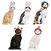 Kitan Club Cat Cap Figure Blind Box Includes 1 of 5 Collectible Figurines - Fun, Versatile Decoration - Authentic Japanese Design