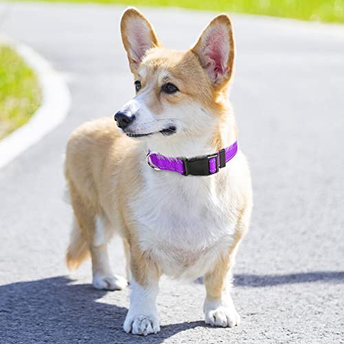Taglory Reflective Adjustable Dog Collars For Puppy Small Medium Large Dogs, Thin Nylon Webbing And Quick Release Plastic Buckle(Purple Medium) #TOP1