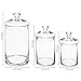 MyGift Glass Apothecary Jar Set with Clear Lid - Decorative Kitchen and Bath Storage Canisters, Wedding Centerpiece Jars, Candy Buffet with Lids