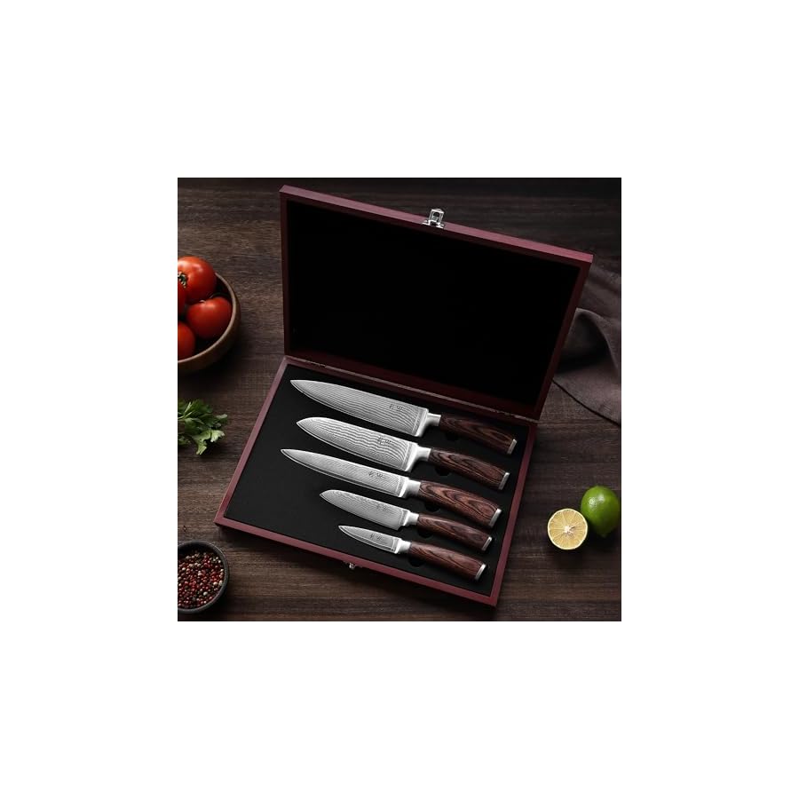 Wakoli Damascus Kitchen Knife Set, 5 Piece Professional Chef Knife Set made from 67 Layers of Damascus Steel with VG10 Core, Knives Set for Kitchen with Pakkawood Handles in Wooden Gift Box (EDIB)
